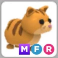 MFR GINGER CAT MFR | ADOPT ME | ID 205048505 | PlayerAuctions