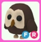 FR OWL FR | ADOPT ME | ID 204198763 | PlayerAuctions