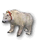 Miniature Polar Bear Undedicated