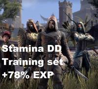 [PC-Europe] 78% XP Boost - Full Epic Training Gear - Stamina DD - 7 Epic Armor+2 gold Weapons+3 blue Jewelry (Lvl 1 - 160 CP)