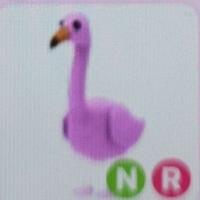 NFR FLAMINGO | ID 212971357 | PlayerAuctions