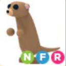 NFR MEERKAT | ID 202542382 | PlayerAuctions