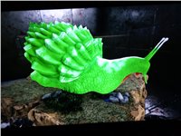 PS4 PVE Selling achatina / snail clone