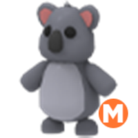 Koala MFR adopt me online Cheap and fast delivery | ID 192798828 ...