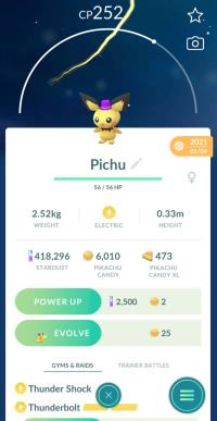 NEW YEAR'S HAT PICHU ||| Trade Immediately After Purchase - Event Pokemon