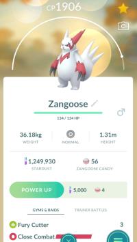 GET 3x HIGH CP ZANGOOSE ||| Trade Immediately After Purchase - Regional Pokemon