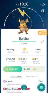 DETECTIVE HAT RAICHU ||| Trade Immediately After Purchase - Event Pokemon