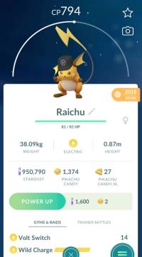 FRAGMENT HAT RAICHU ||| Trade Immediately After Purchase - Event Pokemon