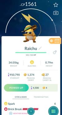 SUMMER HAT RAICHU ||| Trade Immediately After Purchase - Event Pokemon
