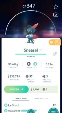 MALE FASHIONABLE SNEASEL  ||| Trade Immediately After Purchase - Event Pokemon