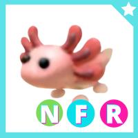 Axolotl NFR - Adopt Me | ID 196248837 | PlayerAuctions