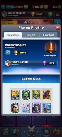 Level 13 hog rider | Level 12 account | All cards collected except Champions cards!