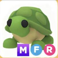 MFR Turtle | ID 217664548 | PlayerAuctions