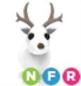 NFR ARCTIC REINDEER (Adopt Me) (Fast trade)