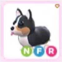 Nfr Royal Corgi Roblox Adopt Me | ID 194016590 | PlayerAuctions