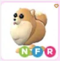 Nfr Pomeranian Roblox Adopt Me | ID 194016728 | PlayerAuctions