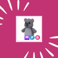 MFR Koala | ID 199864046 | PlayerAuctions