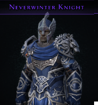 Neverwinter Knight - Account