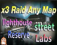 x3 Raid Carry/Run any map-[Labs,Street,Lighthouse,Customs,Woods,Shoreline,Reserve,Interchange]-[All loot + 6SH118 + RIGS]